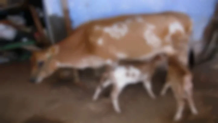 ஆந்திரா