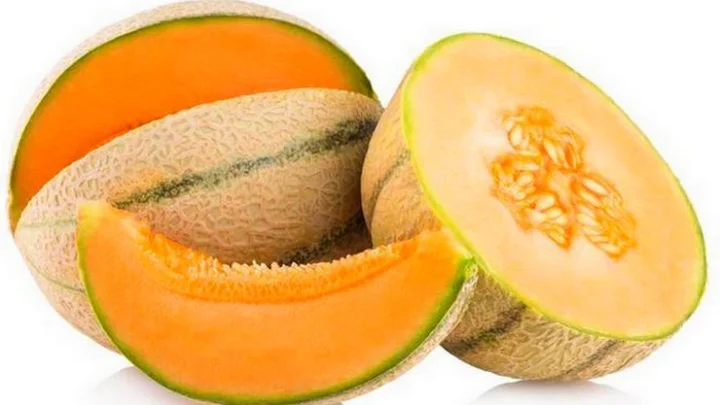 முலாம் பழம்