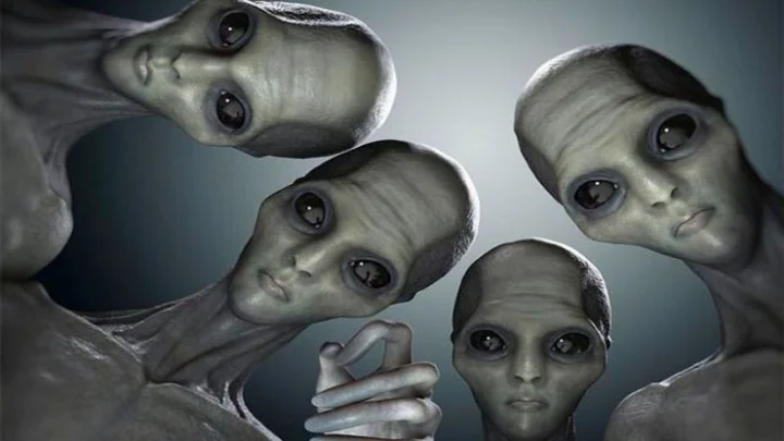 The