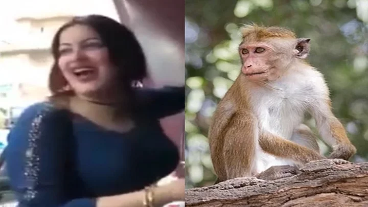 இளம்பெண்