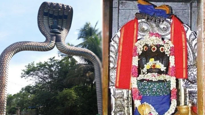 நாகதோஷம்