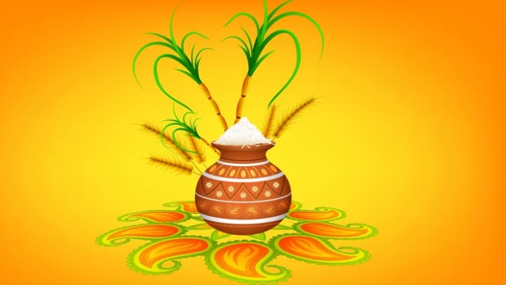 பொங்கல்