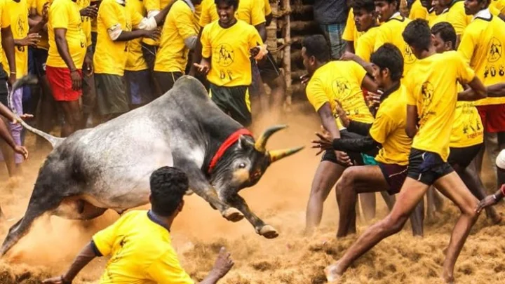 உலகப்புகழ் அலங்காநல்லூர் ஜல்லிக்கட்டு தொடங்கியது