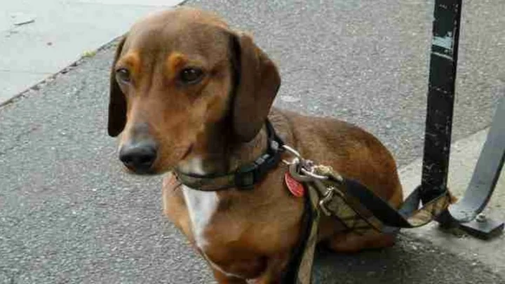 வங்கதேசம்