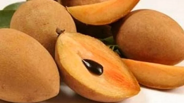 சப்போட்டா