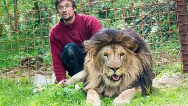 அடைத்து வளர்த்த சிங்கத்தால் அடித்துக் கொல்லப்பட்ட இளைஞர்