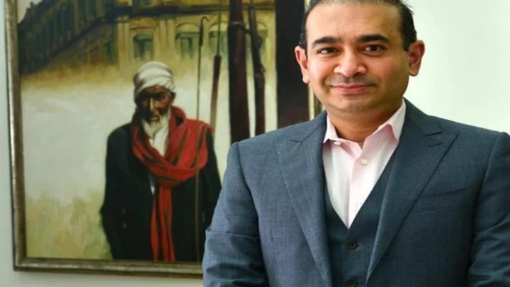 எலித்தொல்லை அதிகம், அதனால் என்னை நாடு கடத்தாதீங்க: நீரவ் மோடி