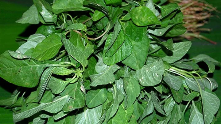 அரைக்கீரை