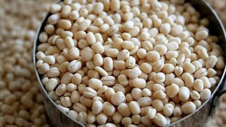 எலும்புகள் வலுப்பெற பெரிதும் உதவும் உளுந்து...!