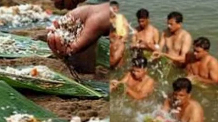 பித்ருக்கள்