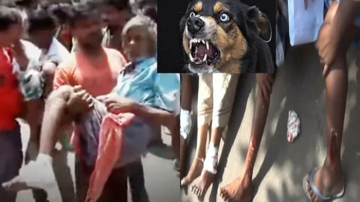 சேலம்