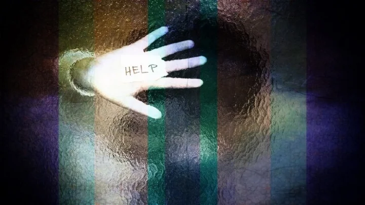 பேருந்து