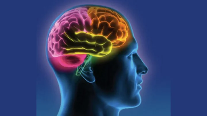 World Brain Tumor Day 2025