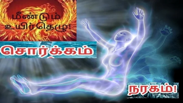 மரணத்திலிருந்து மீண்டவர்கள்