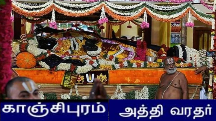 தங்கப் பல்லி