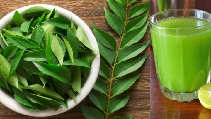 மருத்துவ குணங்கள்