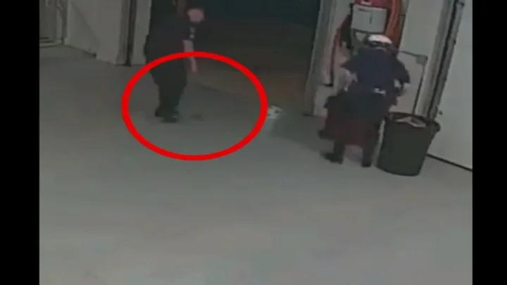 போலீஸுக்கே தண்ணி காட்டிய அணில்: ”ஆப்ரேஷன் அணிலை கையில் எடுத்த போலீஸ்”