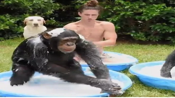 viral video