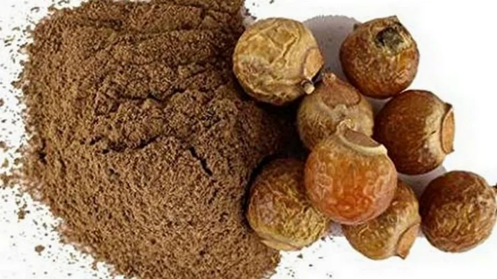 பூவந்திக் கொட்டை