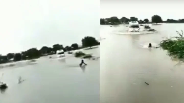 National News