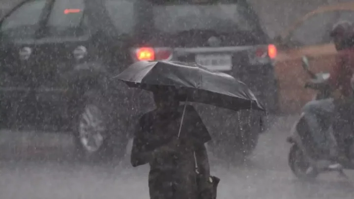 Thunderstorm forecast for the state again