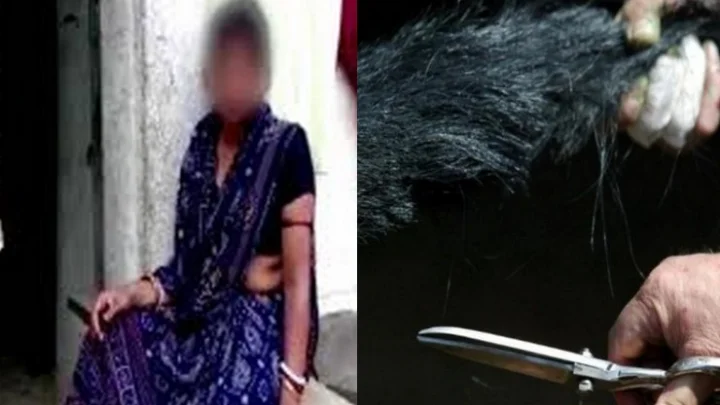 ஜார்கெண்ட்
