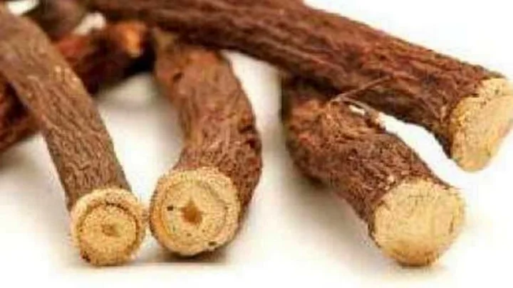 நுரையீரல்