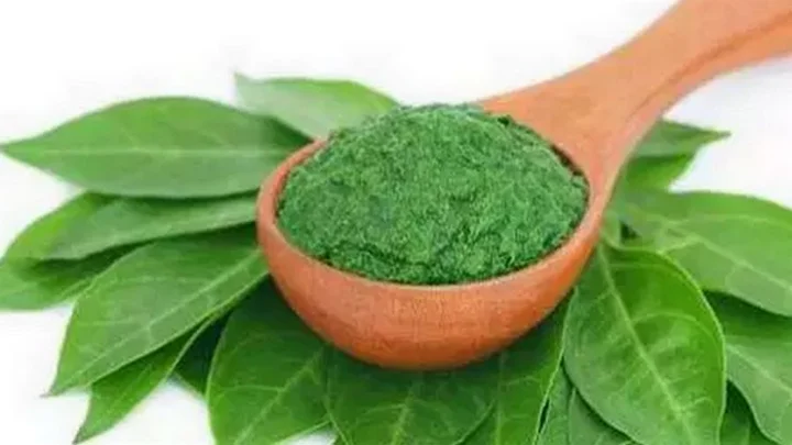 மருதாணி