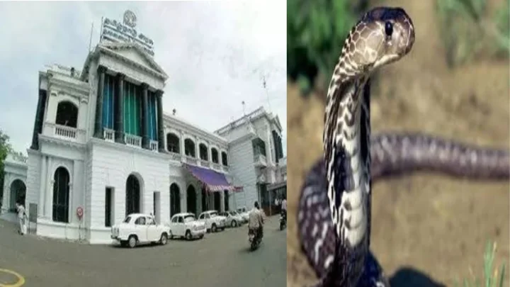 சென்னை 