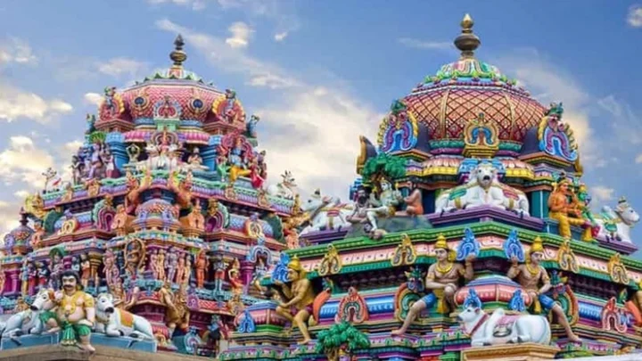 திருவள்ளூர் மாவட்ட ஆட்சியர் 