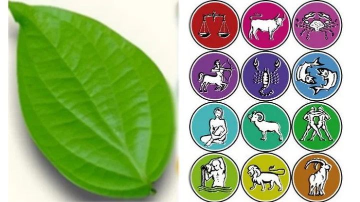 12 ராசிகள்