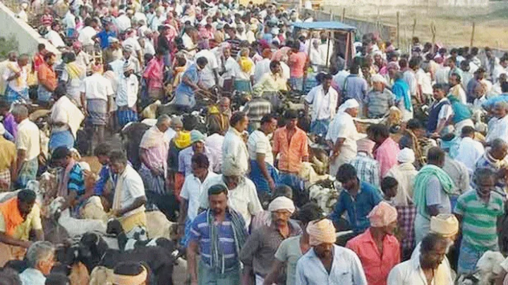 100 கிடாய்கள் பலியிட்டு  தடபுடல் விருந்து...ஆண்கள் மட்டுமே கலந்துகொண்ட விழா !