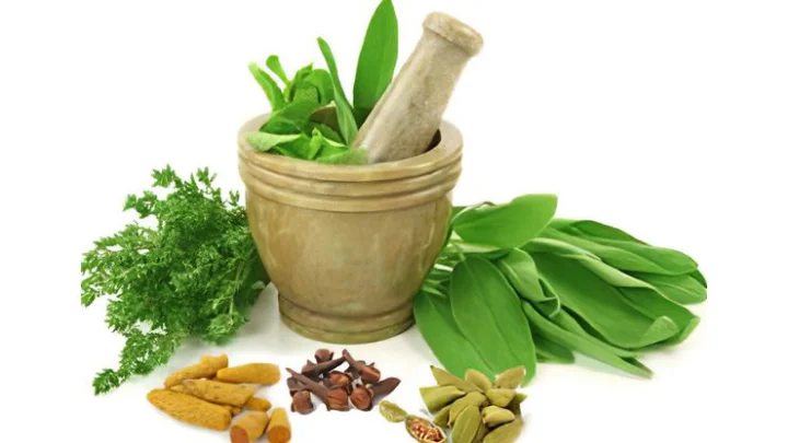 Home Remedies - Home Remedies for Headaches and Toothaches home remedies for headaches and toothaches in marathi webdunia marathi