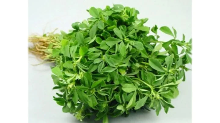 வெந்தயக்கீரையை சாப்பிடுவதால் கிடைக்கும் மருத்துவ பயன்கள்...!!