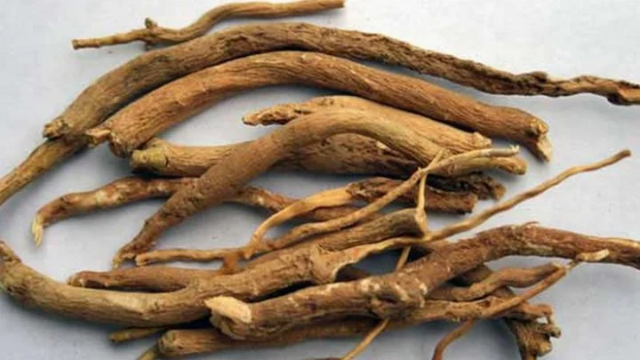 அமுக்கிரா கிழங்கு