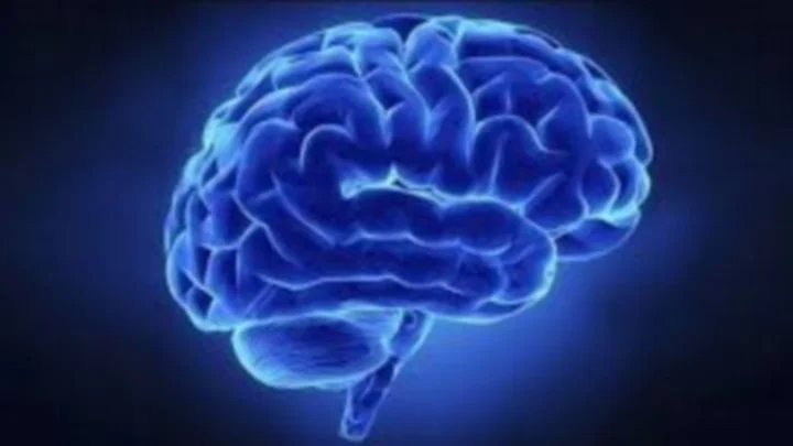 Some natural medical tips to increase memory