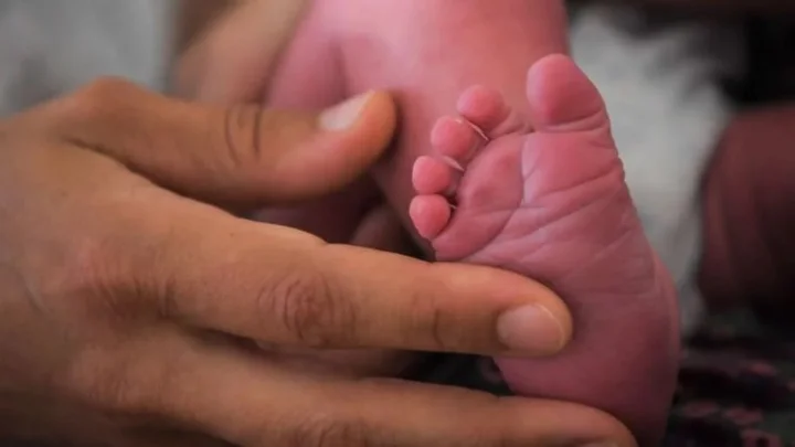 போர்ச்சுகல்