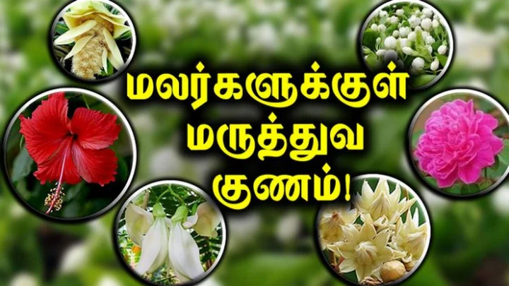 மலர்கள்