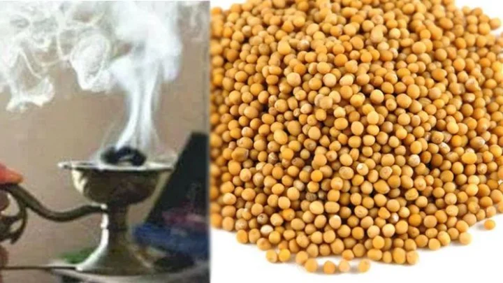 வீட்டில் உள்ள கெட்ட சக்திகளை விரட்டும் வெண்கடுகு சாம்பிராணி!!