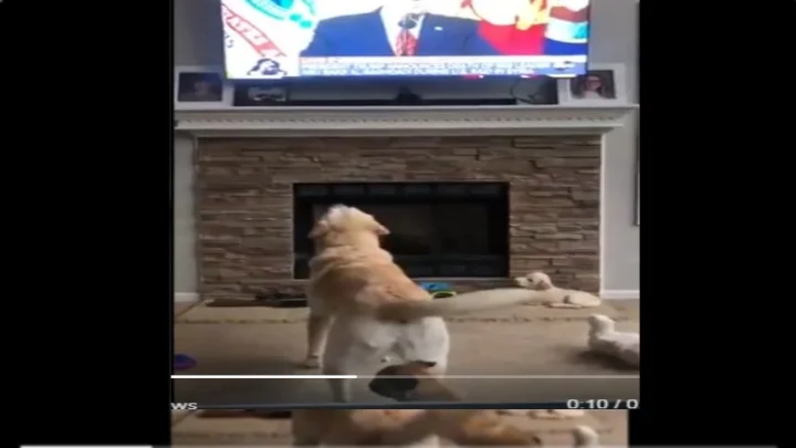 அமெரிக்க அதிபர்