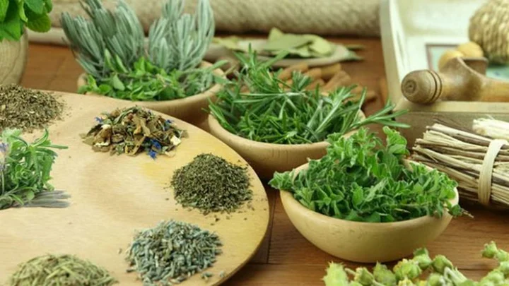 மூலிகைகள்