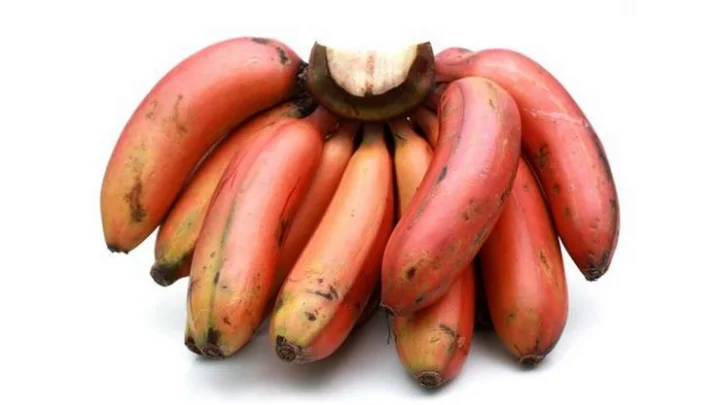 செவ்வாழை