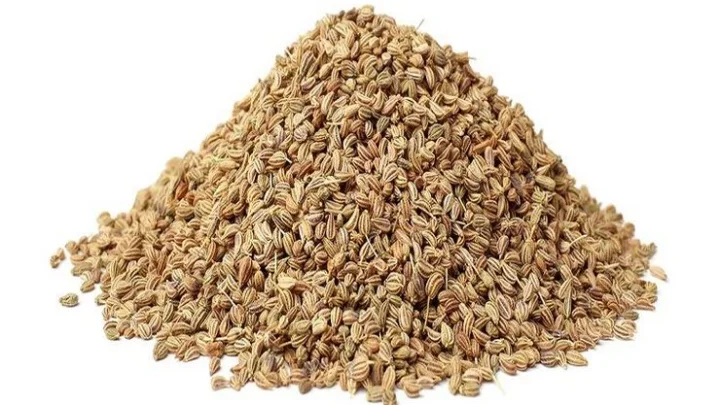 நெஞ்சு சளி
