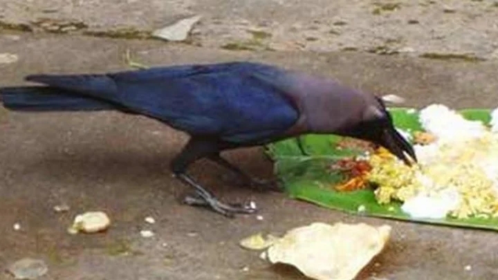 சனி பகவான்