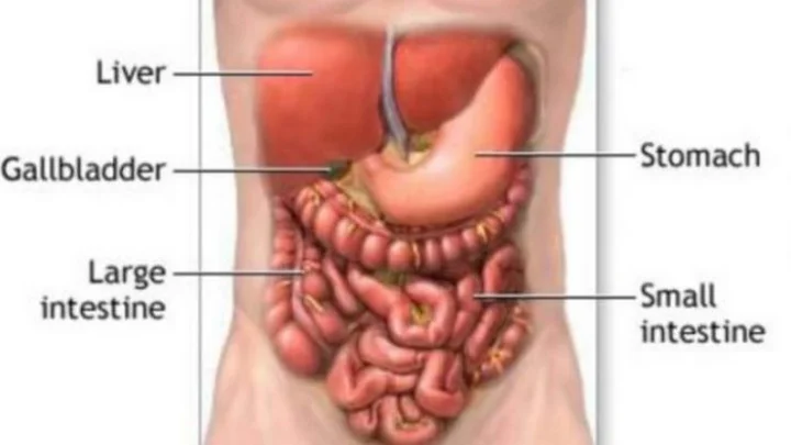 மலச்சிக்கல்