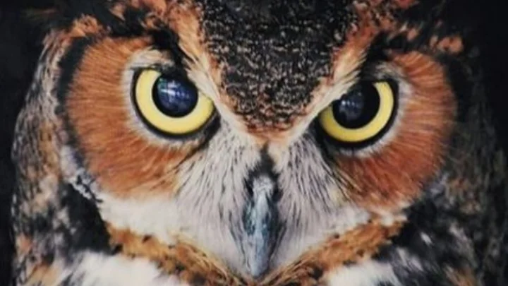 நல்ல தூக்கம் வேண்டுமா? எப்படி தயாராவது?