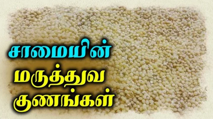 சிறு தானியங்கள்