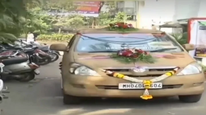 மாட்டுச் சாணம்