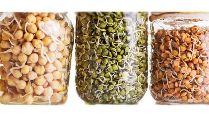 முளைக்கட்டிய தானியங்கள்