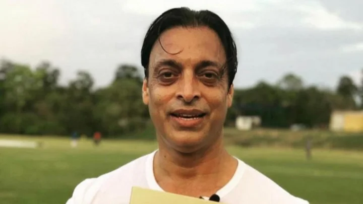 Cricket